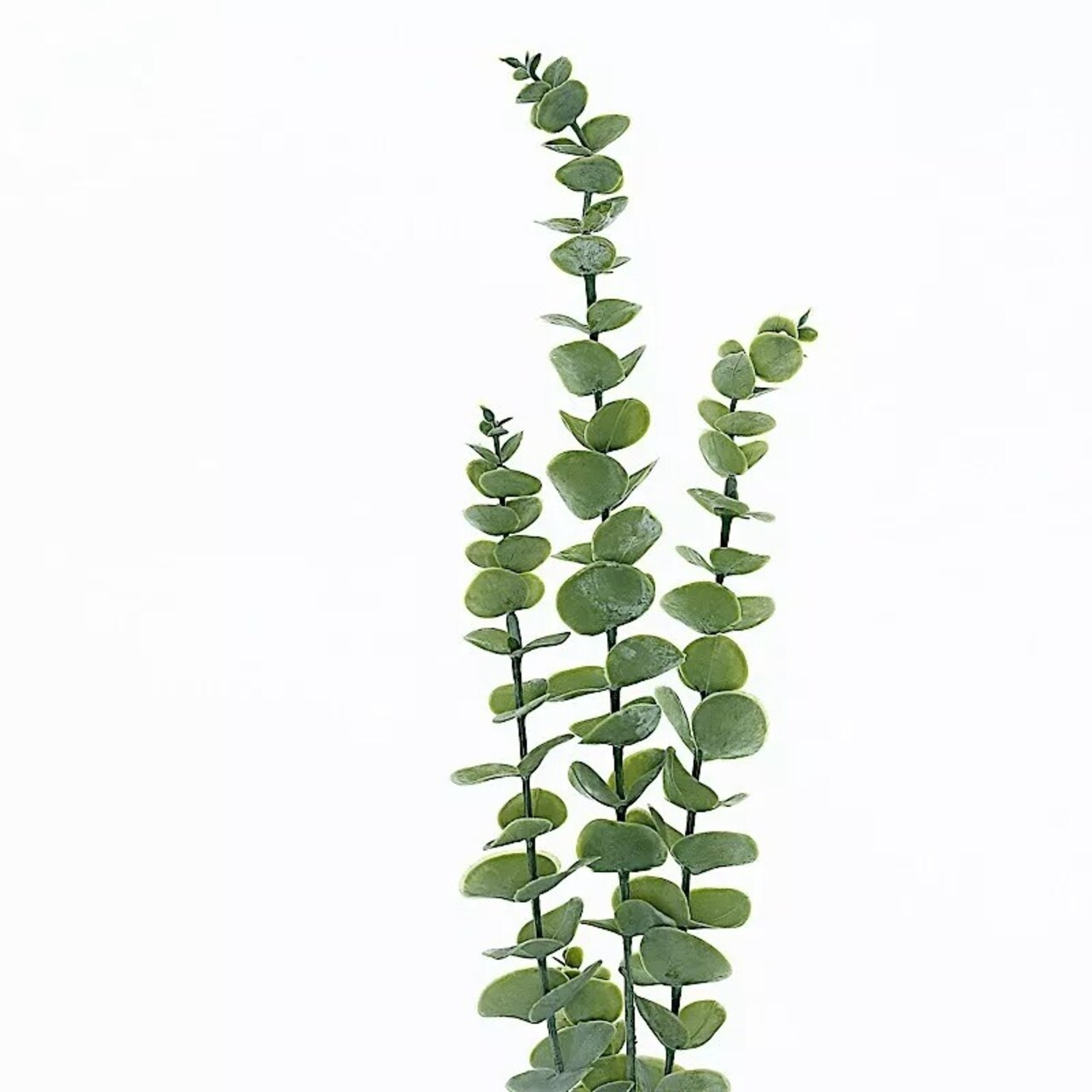3 Frosted Green 30" Artificial Eucalyptus Leaves Sprays Stems Party Supplies